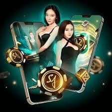 365 games